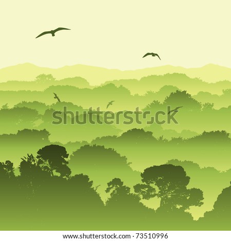 A Green Forest Landscape with Trees