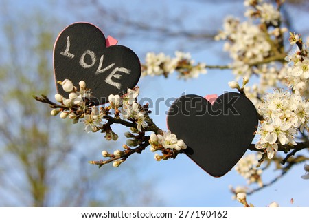 Chalkboard heart love, flower