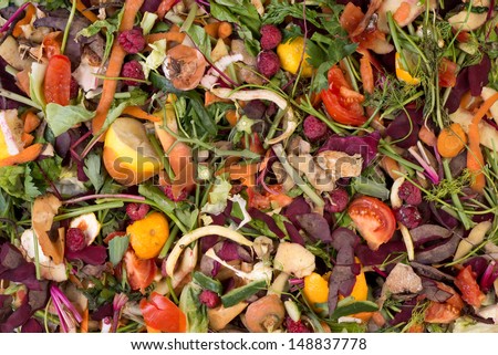 Pile Of Composting Natural Waste