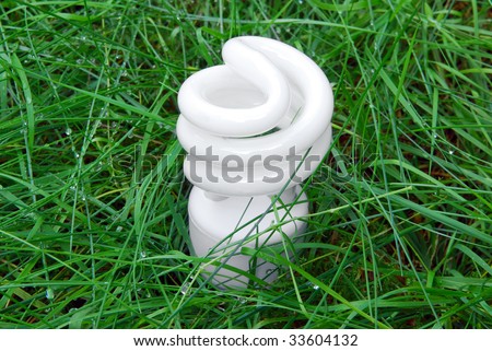Compact fluorescent light bulb in grass