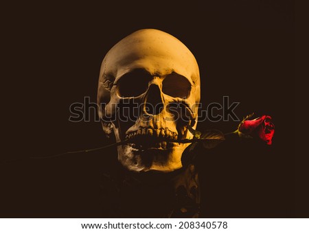 Rose and skull