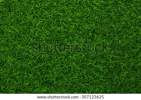 Artificial Grass closeup