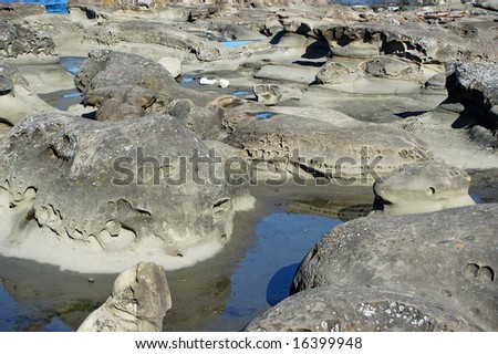 stone beach and tidal pools