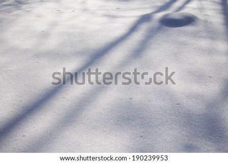 Snow on the sun and trees shadow
