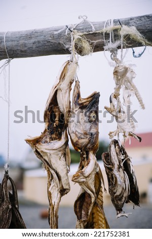 dry fish hanging outdoor