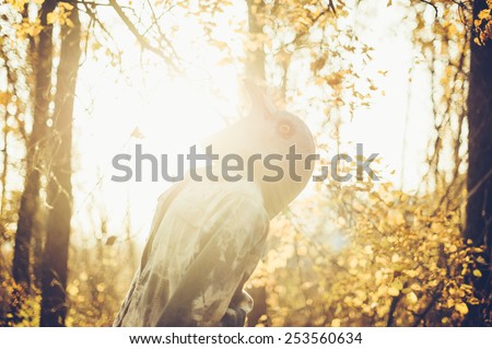 Weird man in a creepy rubber pigeon bird mask falling back in the autumn sunset forest