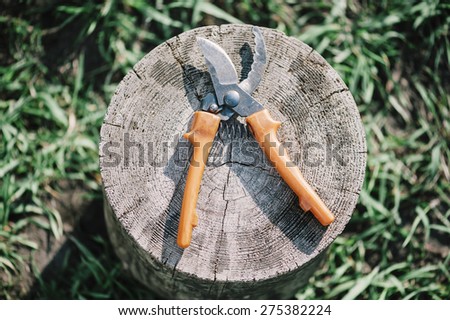 Garden pruner on the tree stump