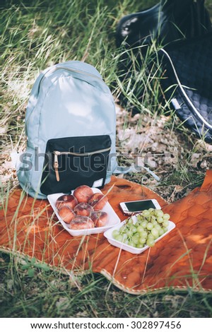Nice picnic outdoors on an orange saddlecloth. Backpack, grapes and donut peaches with a forest as a background
