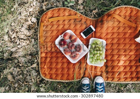 Nice picnic outdoors on an orange saddlecloth. Nice picnic outdoors on an orange saddlecloth. Grapes, donut (saturn) peaches and a smartphone, top view