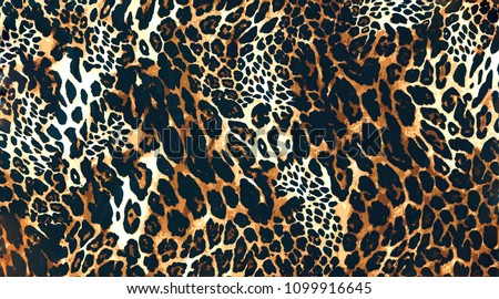 leopard pattern, jaguar pattern, animal fur