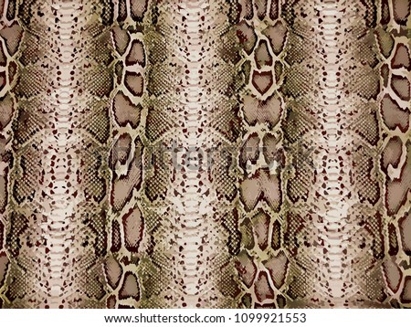 piton pattern, snake skin, animal skin