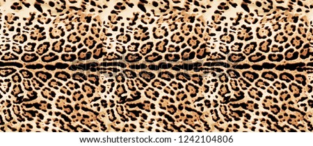 Leopard skin, leopard fur, leopard texture