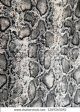 snake texture, snake skin, snake pattern