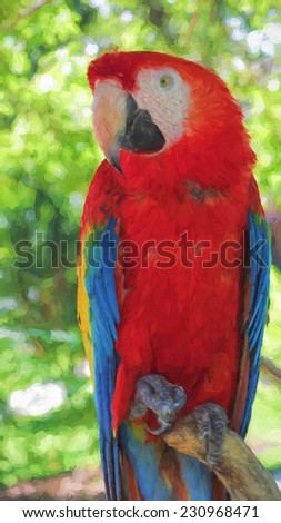 red macaw, paint brush effect