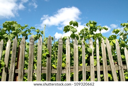 nature of the fence and the sky