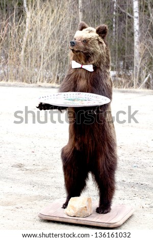 Big standing brown bear