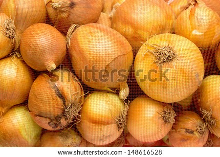 Yellow onions crop. Stack of onion.