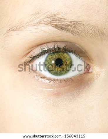 Eye macro. Girl eye.