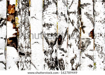 birch wood fence texture