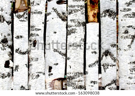 birch wood fence texture