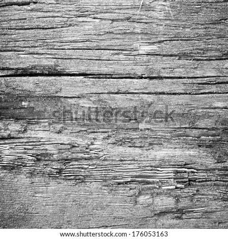 old wood, conceptual or metaphor wall banner, grunge.