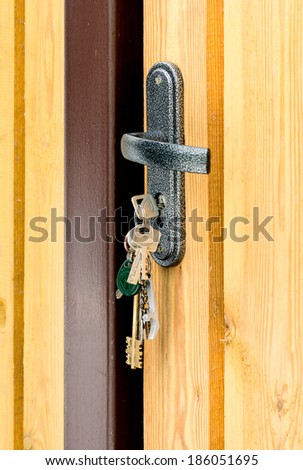 bunch of keys in cylinder lock of wooden door