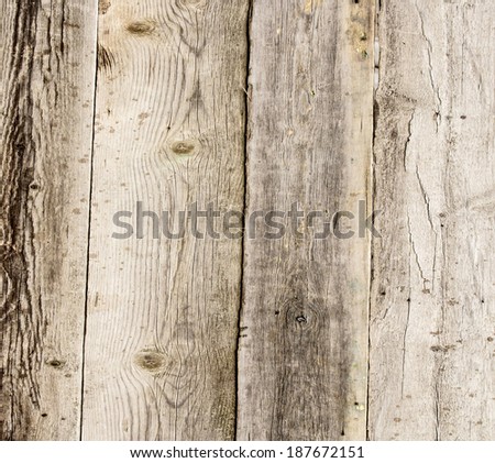 Wood plank texture for your background