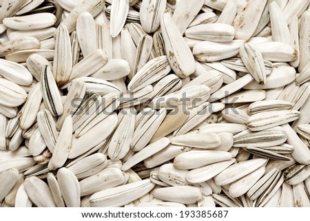 sunflower seeds on white background
