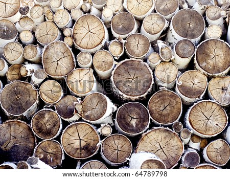 Pile of a birch firewood