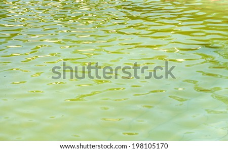 Clear aqua water in the sea.