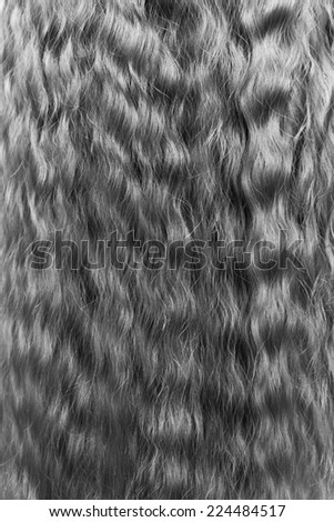 after painting, a human hair wavy background