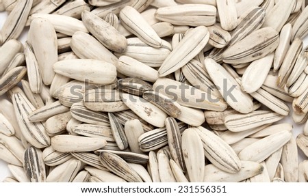sunflower seeds pile against white background