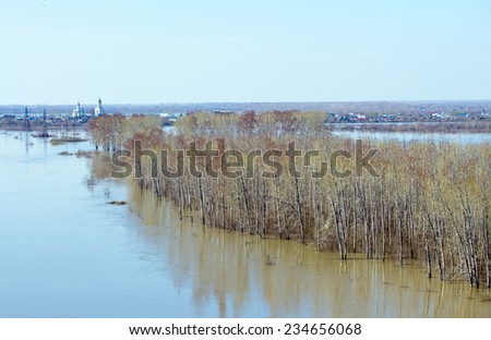 trees in the water, spring landscape