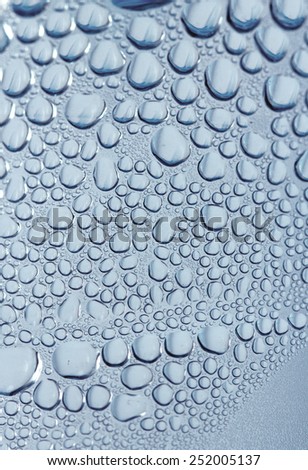 Drops of water. Shallow DOF.
