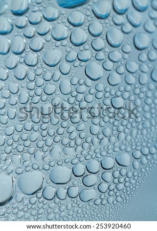 Drops of water. Shallow DOF.