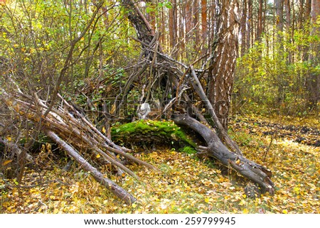 nature autumn landscape, forest house of twigs