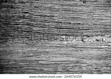 Old grunge wood background. Black and white photo.