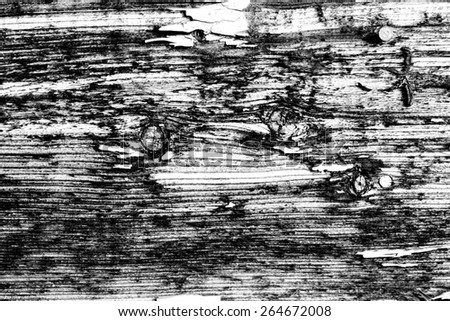 Old grunge wood background. Black and white photo.
