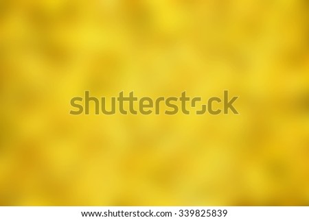 blurred yellow background, autumn forest landscape
