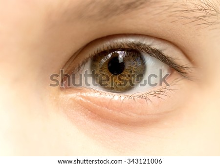 Close up view of a brown  eye - no make up on
