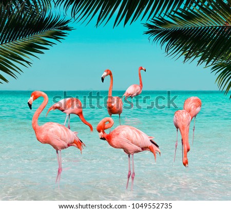 Vintage and retro collage photo of  flamingos standing in clear blue sea with sunny sky with cloud and green coconut tree leaves in foreground.