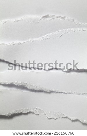 white paper torn off  background