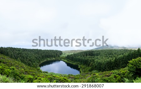 Beautiful clean lake surrounded by pine forest,Pico Island, Azores, Portugal panoramic landscape