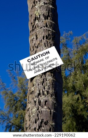 Caution: funny plate about falling coconuts