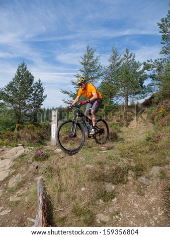 Mountain biker riding  a trail in a mountain bike park in South Wales, UK on a sunny day in the fall