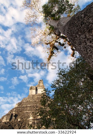 View of the ancient Mayan pyramid, Temple of the Jaguar. This is one of the pyramids in the central acropolis at Tikal. Tikal National Park, El Peten, Guatemala, Central America.