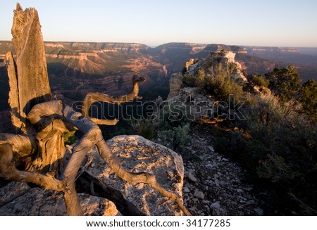 View of Grand Canyon National Park from Jump Up point at sunset, Arizona, USA.