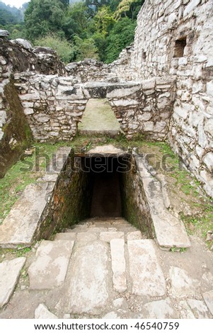 Wide angle view of entrance to tunnel and stone work in \'The Palace\' with steamy jungle in background at the ancient Mayan city of Palenque. Chiapas, Mexico.