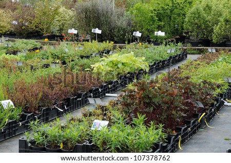 France, a plant nursery in Brittany