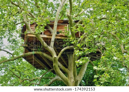 France, wood hut in a tree in the park of Canon castle